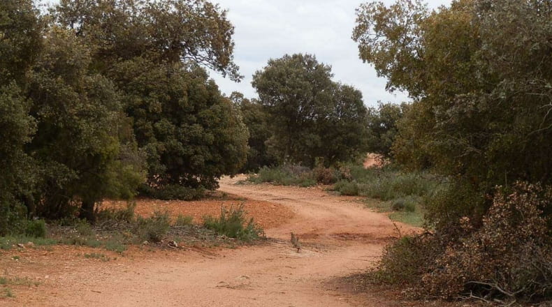Albacete - Ossa de Montiel - 7600000m2