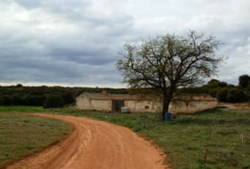 Foto 17