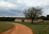 Country house with land for sale on Calle Canalejas, Ossa de Montiel, ref: TR7711 photo