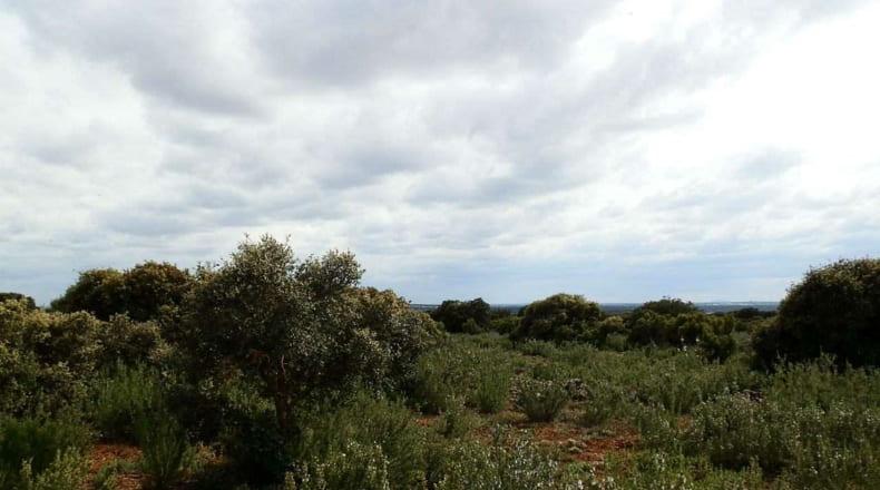 Albacete - Ossa de Montiel - 7600000m2