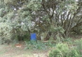 Country house with land for sale on Calle Canalejas, Ossa de Montiel, ref: TR7711 photo