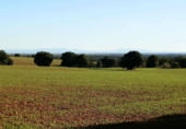 Non-developable land for sale on Calle Canalejas, Ossa de Montiel, ref: TR7707 photo