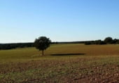 Non-developable land for sale on Calle Canalejas, Ossa de Montiel, ref: TR7707 photo