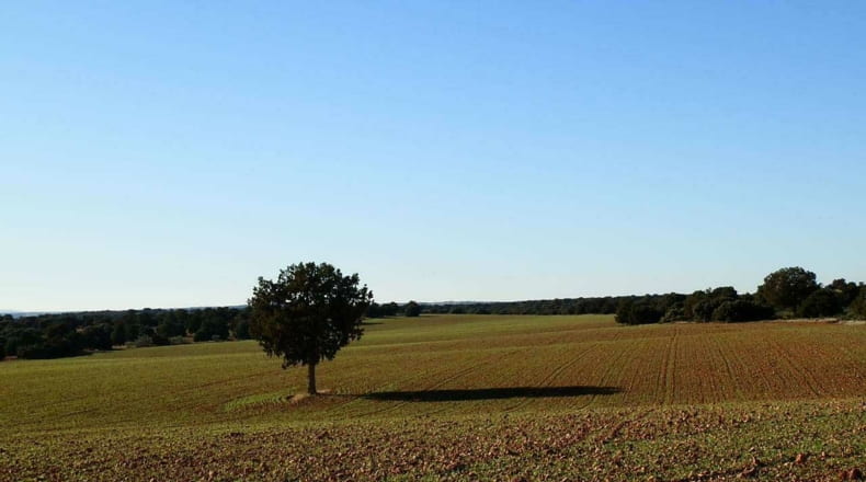 Albacete - Ossa de Montiel - 5240000m2