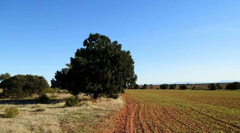 Albacete - Ossa de Montiel - 5240000m2