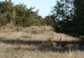 Non-developable land for sale on Calle Canalejas, Ossa de Montiel, ref: TR7707 photo