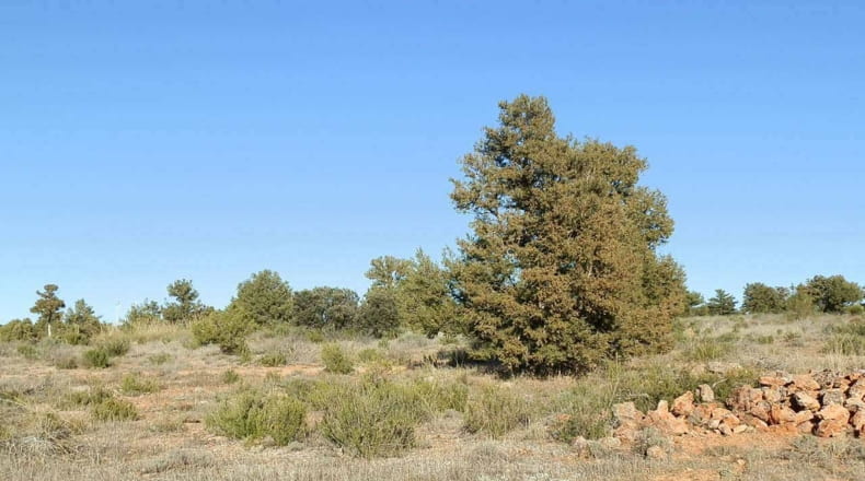 Albacete - Ossa de Montiel - 5240000m2