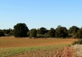 Non-developable land for sale on Calle Canalejas, Ossa de Montiel, ref: TR7707 photo