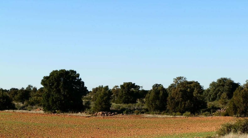 Albacete - Ossa de Montiel - 5240000m2