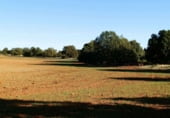 Non-developable land for sale on Calle Canalejas, Ossa de Montiel, ref: TR7707 photo
