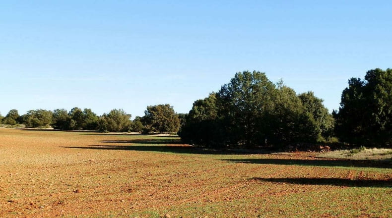 Albacete - Ossa de Montiel - 5240000m2