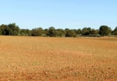 Non-developable land for sale on Calle Canalejas, Ossa de Montiel, ref: TR7707 photo