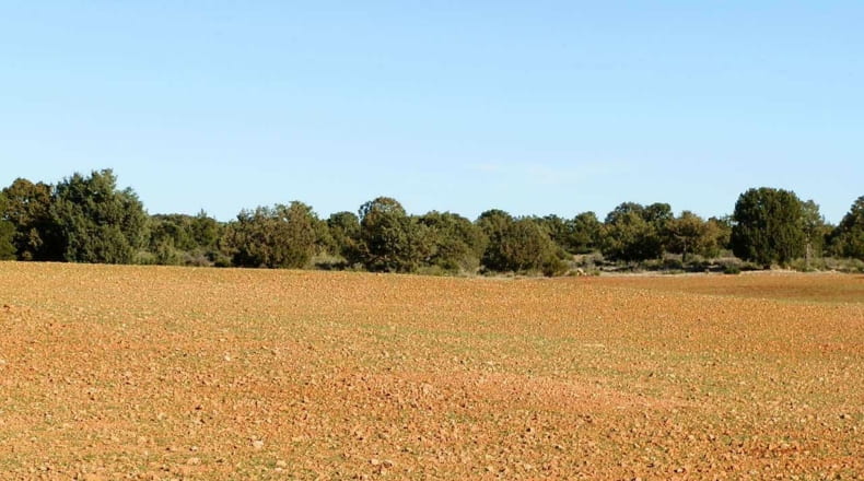 Albacete - Ossa de Montiel - 5240000m2