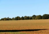 Non-developable land for sale on Calle Canalejas, Ossa de Montiel, ref: TR7707 photo