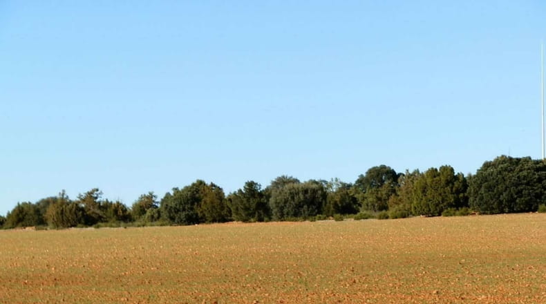 Albacete - Ossa de Montiel - 5240000m2