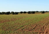 Non-developable land for sale on Calle Canalejas, Ossa de Montiel, ref: TR7707 photo