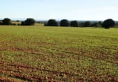 Non-developable land for sale on Calle Canalejas, Ossa de Montiel, ref: TR7707 photo