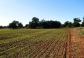 Non-developable land for sale on Calle Canalejas, Ossa de Montiel, ref: TR7707 photo