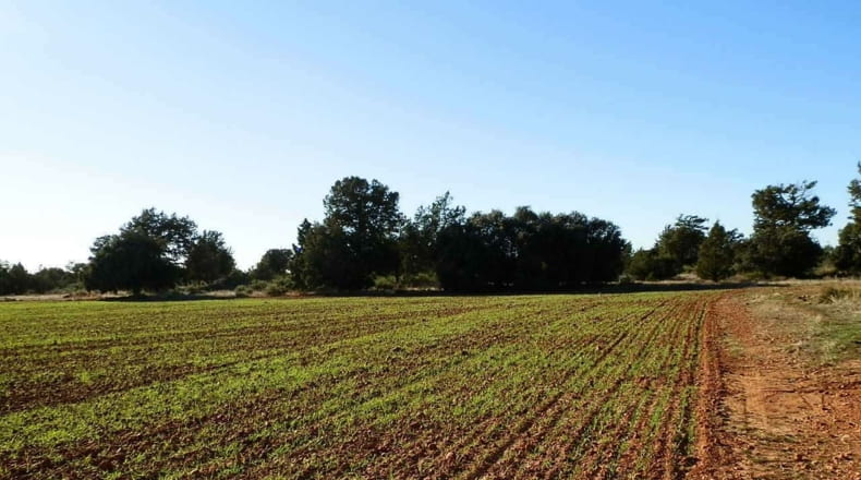 Albacete - Ossa de Montiel - 5240000m2