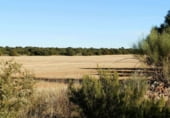 Non-developable land for sale on Calle Canalejas, Ossa de Montiel, ref: TR7707 photo