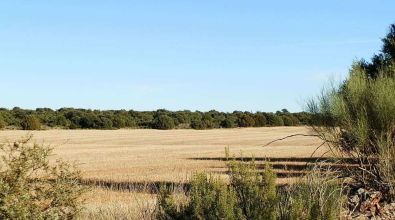 Albacete - Ossa de Montiel - 5240000m2