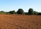 Non-developable land for sale on Calle Canalejas, Ossa de Montiel, ref: TR7707 photo