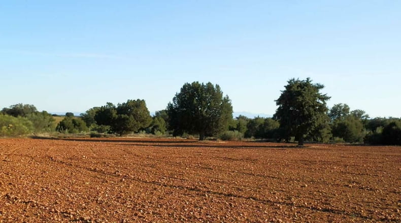 Albacete - Ossa de Montiel - 5240000m2