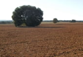 Non-developable land for sale on Calle Canalejas, Ossa de Montiel, ref: TR7707 photo