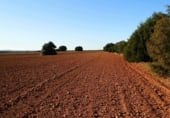 Non-developable land for sale on Calle Canalejas, Ossa de Montiel, ref: TR7707 photo