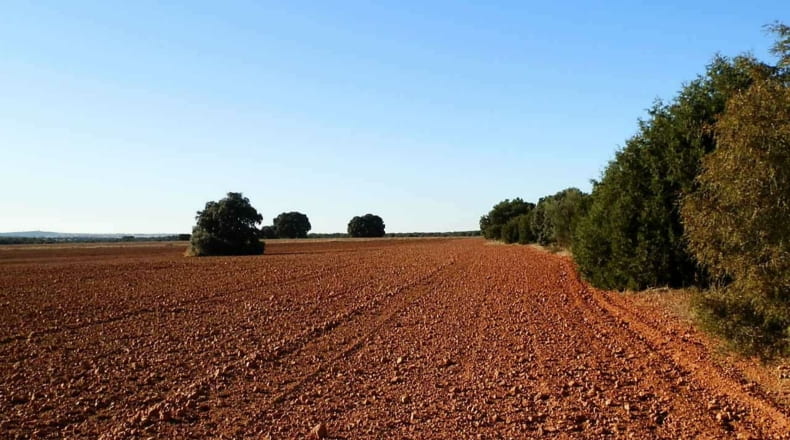 Albacete - Ossa de Montiel - 5240000m2