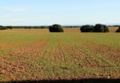 Non-developable land for sale on Calle Canalejas, Ossa de Montiel, ref: TR7707 photo