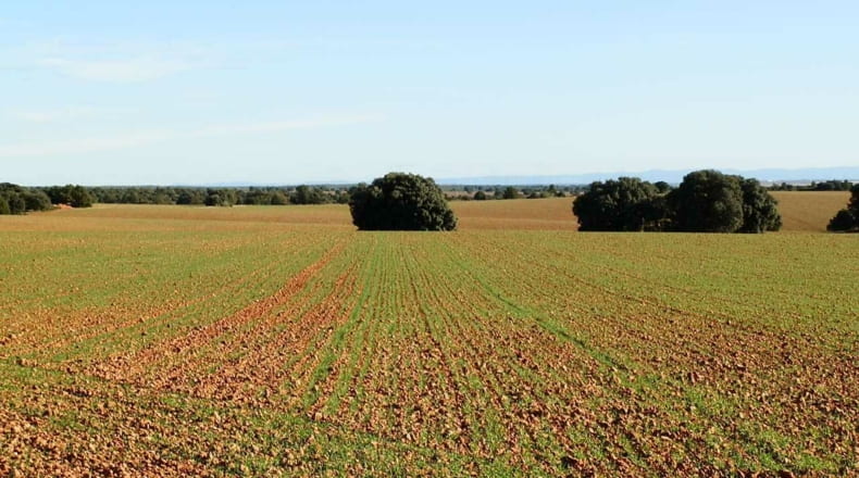 Albacete - Ossa de Montiel - 5240000m2