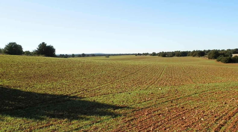 Albacete - Ossa de Montiel - 5240000m2