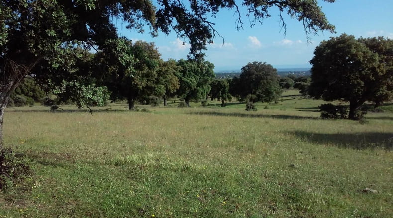 Toledo - Talavera de la Reina - 330000m2