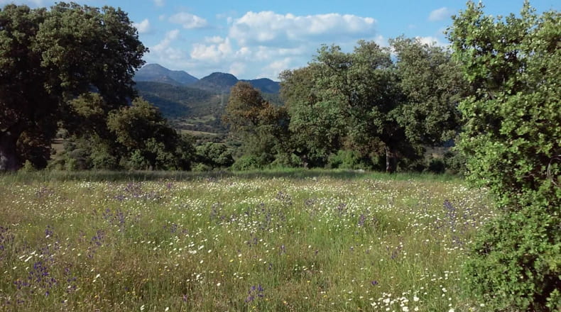 Toledo - Talavera de la Reina - 330000m2