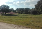 Terreno no urbanizable en venta en la Calle Cañada de Alfares, Talavera de la Reina, ref: TR7703 foto