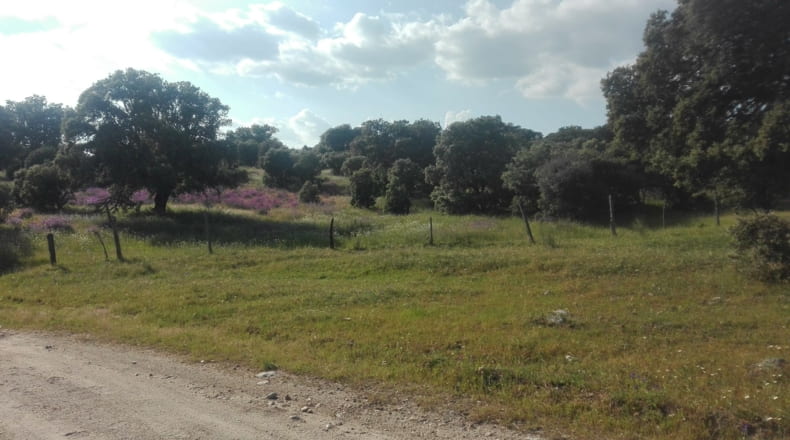 Toledo - Talavera de la Reina - 330000m2