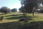 Terreno no urbanizable en venta en la Calle Cañada de Alfares, Talavera de la Reina, ref: TR7703 foto