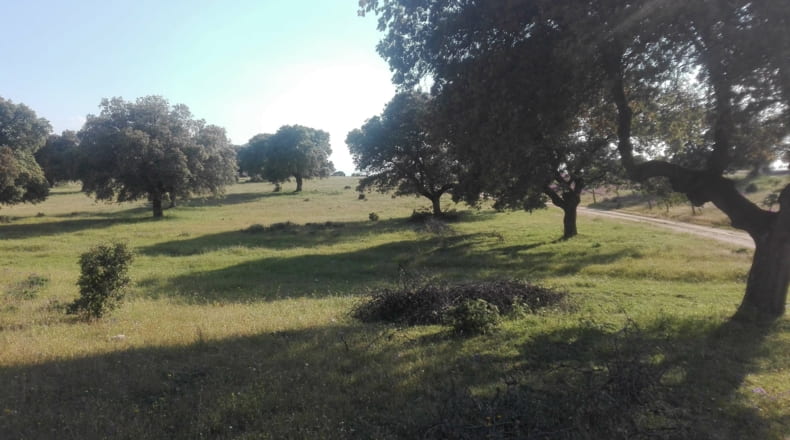 Toledo - Talavera de la Reina - 330000m2