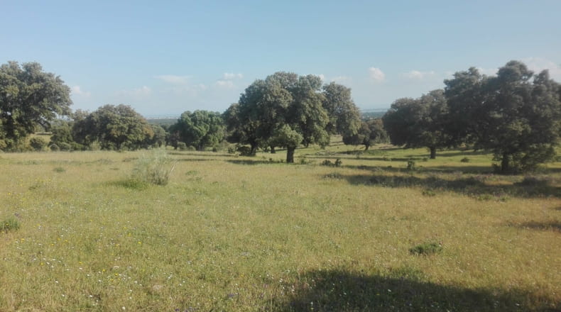 Toledo - Talavera de la Reina - 330000m2