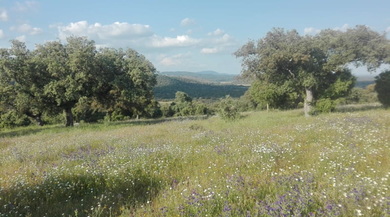 Toledo - Talavera de la Reina - 330000m2