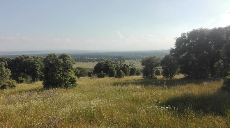Toledo - Talavera de la Reina - 330000m2