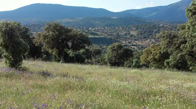 Toledo - Talavera de la Reina - 330000m2