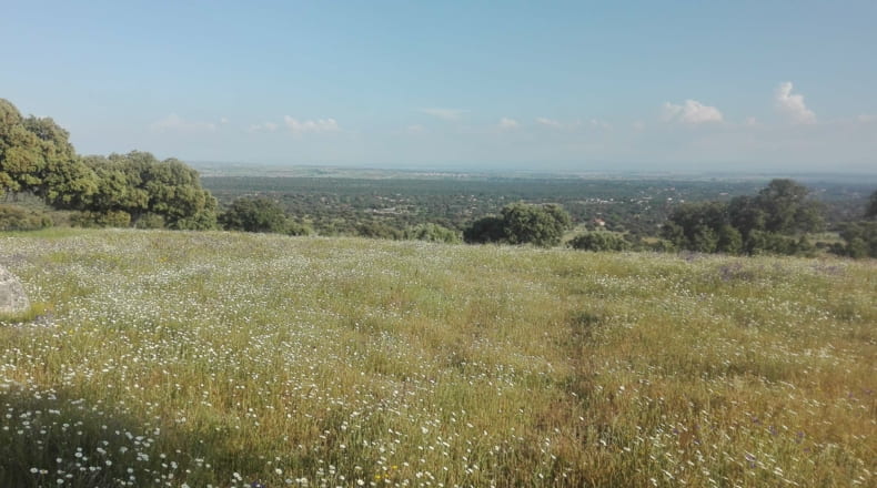 Toledo - Talavera de la Reina - 330000m2