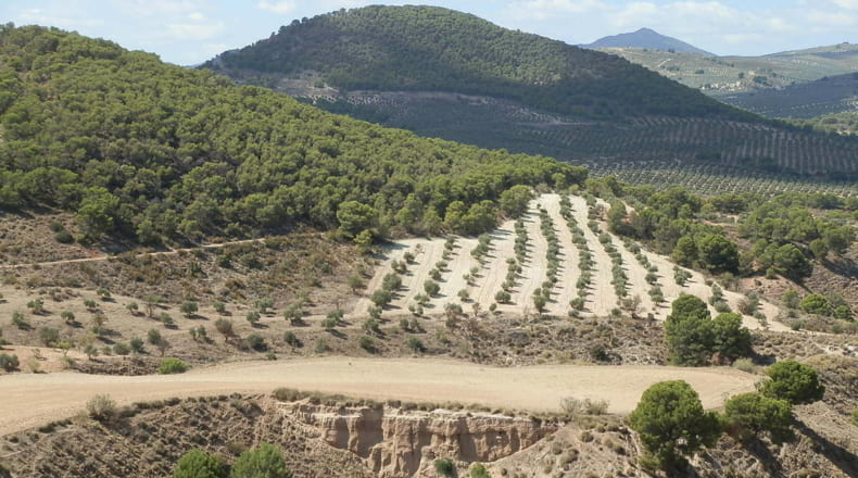 Jaén - Jódar - 2500000m2