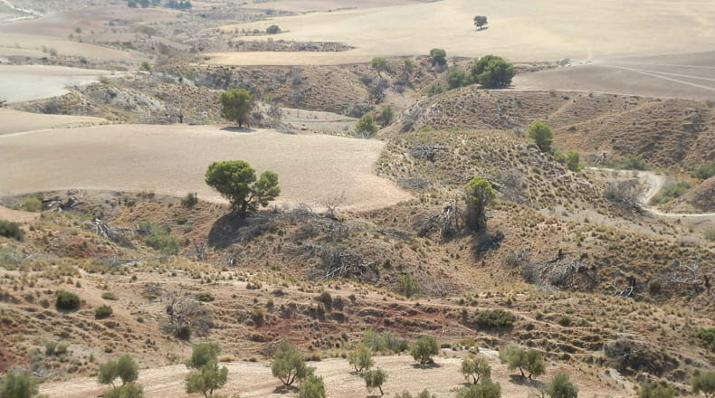 Jaén - Jódar - 2500000m2