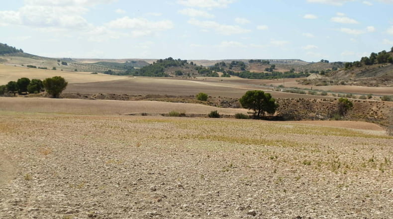 Jaén - Jódar - 2500000m2