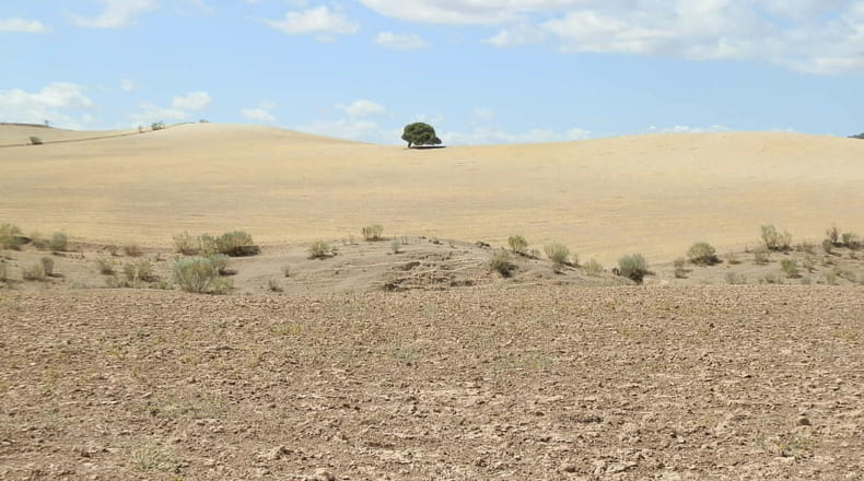 Jaén - Jódar - 2500000m2