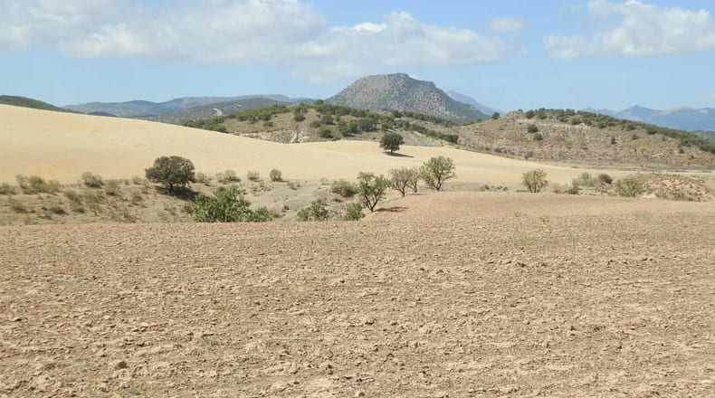 Jaén - Jódar - 2500000m2