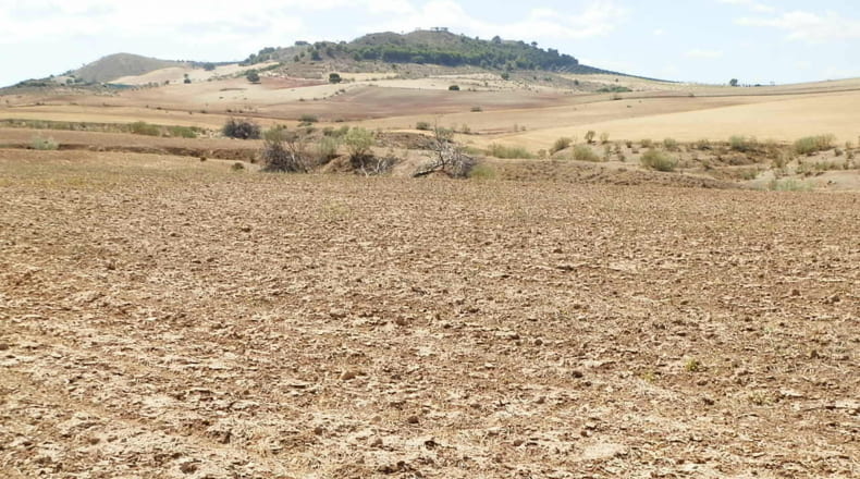 Jaén - Jódar - 2500000m2